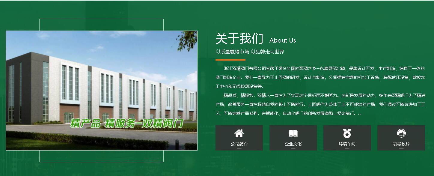 浙江雙精閥門有限公司穩步發展全新升級-圖片